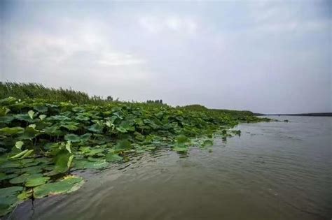 消砂納水